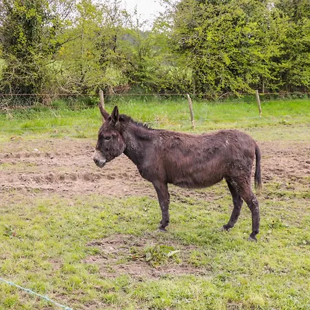 Casa de Férias Sunset View