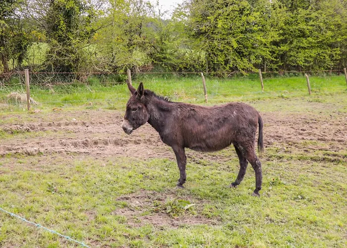 Ferienhaus Sunset View