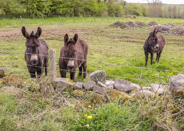 Tatil Evi Sunset View Williamstown